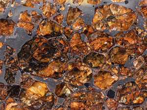 Lot #4573  Brahin Pallasite Meteorite Full Slice - Image 5