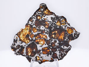 Lot #4584  NWA 10023 Pallasite Meteorite Slice