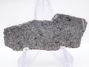 Lot #4582  NWA 12269 Martian Meteorite Slice - Image 1