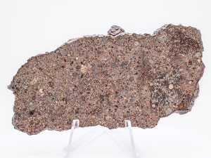 Lot #4579  NWA 1227 Stone Meteorite Slice - Image 2