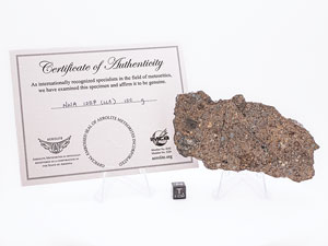 Lot #4579  NWA 1227 Stone Meteorite Slice - Image 3