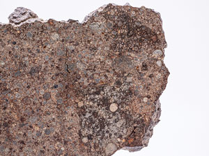 Lot #4579  NWA 1227 Stone Meteorite Slice - Image 4
