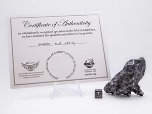 Lot #4588  Sikhote-Alin Iron Meteorite - Image 4
