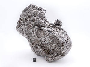 Lot #4583  Muonionalusta Iron Meteorite - Image 1