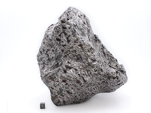 Lot #4583  Muonionalusta Iron Meteorite - Image 2
