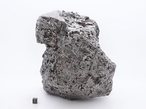 Lot #4583  Muonionalusta Iron Meteorite - Image 3