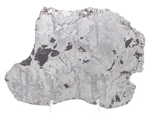Lot #4576  Campo del Cielo Iron Meteorite Slice - Image 1