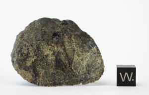 Lot #4586  NWA 5480 Olivine Diogenite Meteorite End Cut - Image 2