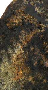 Lot #4586  NWA 5480 Olivine Diogenite Meteorite End Cut - Image 5