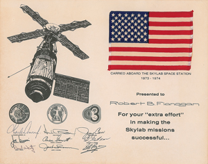 Lot #445  Skylab 1 - Image 1