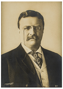 Lot #8117 Theodore Roosevelt - Image 5