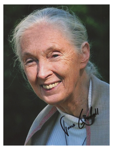 Lot #232 Jane Goodall