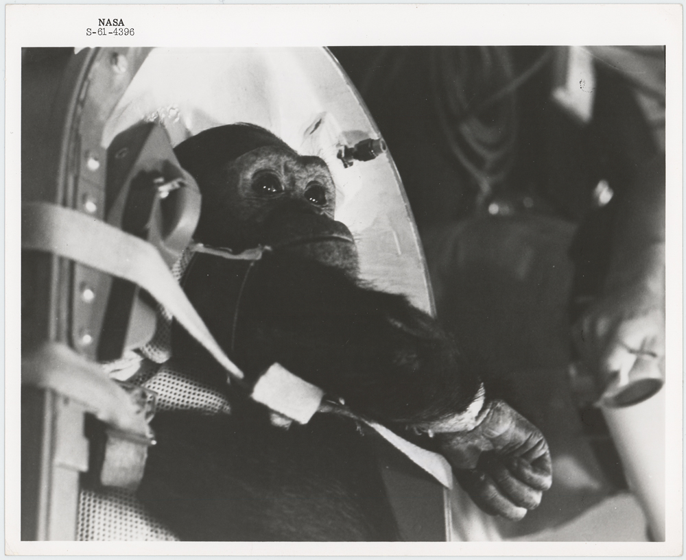 Lot #3019  Enos the Chimp Original 'Type 1' Photograph