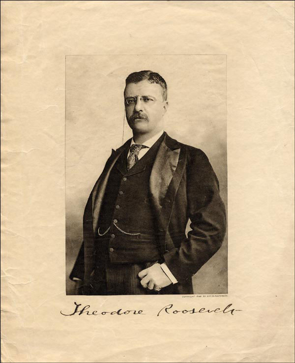 Lot #114 Theodore Roosevelt