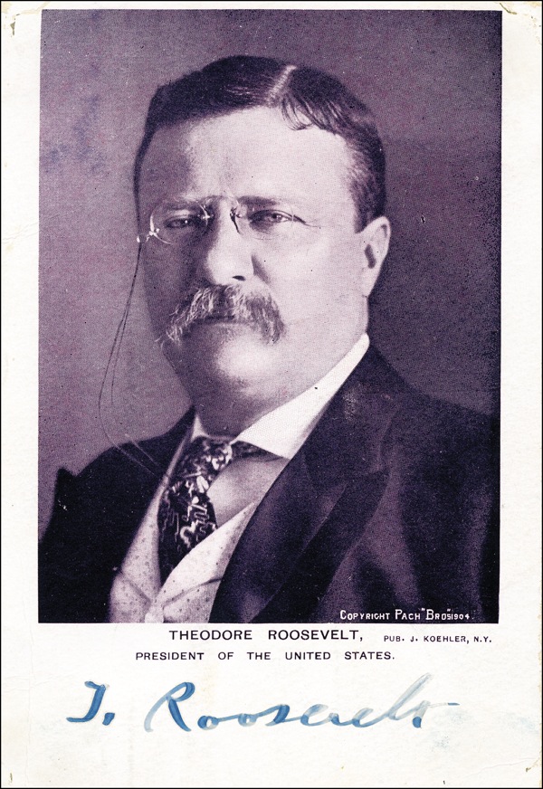 Lot #221 Theodore Roosevelt
