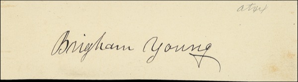 Lot #351 Brigham Young