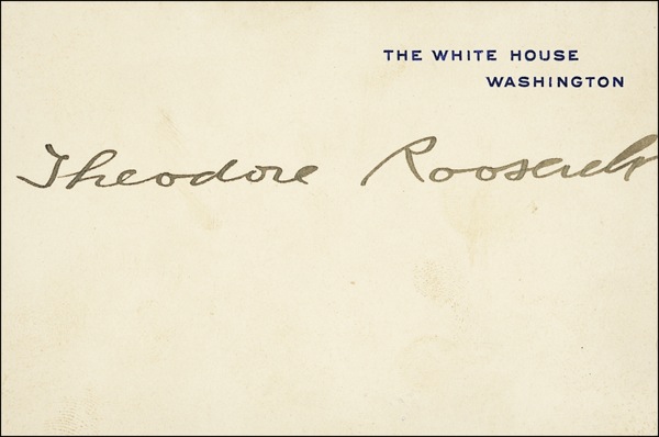 Lot #110 Theodore Roosevelt