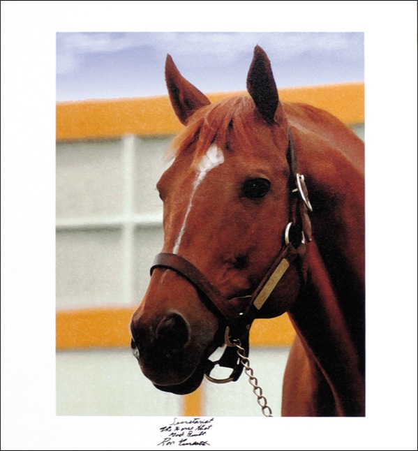Lot #1267 Horse Racing: Ron Turcotte