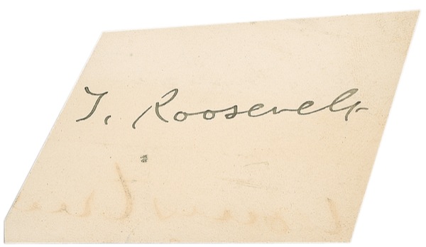 Lot #164 Theodore Roosevelt
