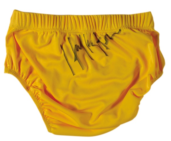 Hulk hogan discount swim trunks