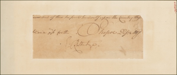 Lot #179 Declaration of Independence - Image 1