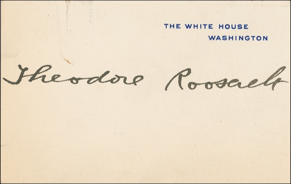 Lot #119 Theodore Roosevelt