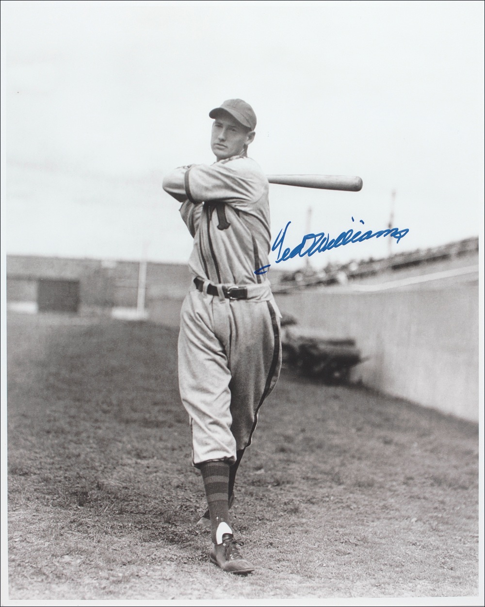Lot #1556 Ted Williams