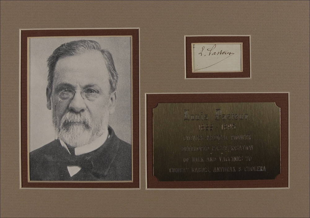 Lot #337 Louis Pasteur