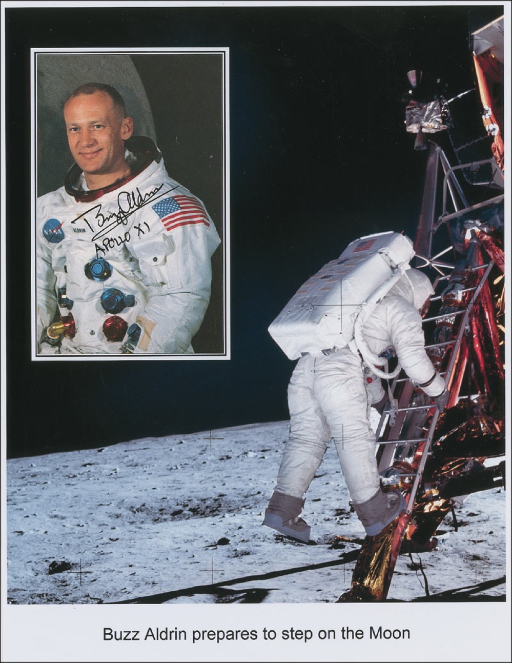 Lot #486 Buzz Aldrin