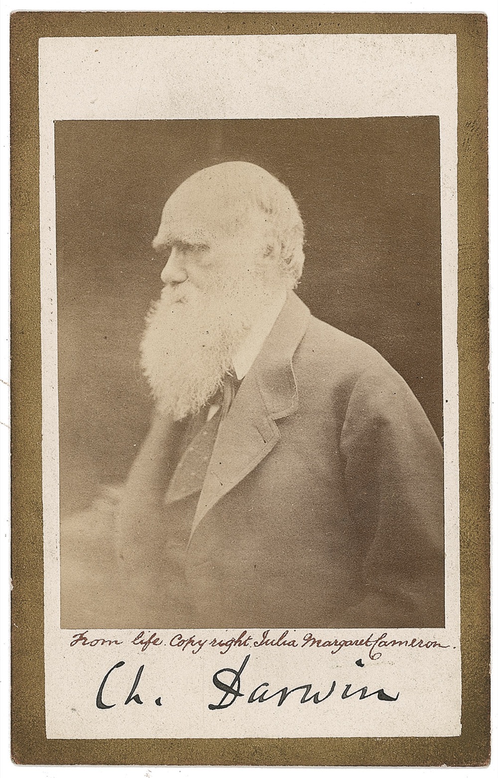 Lot #244 Charles Darwin