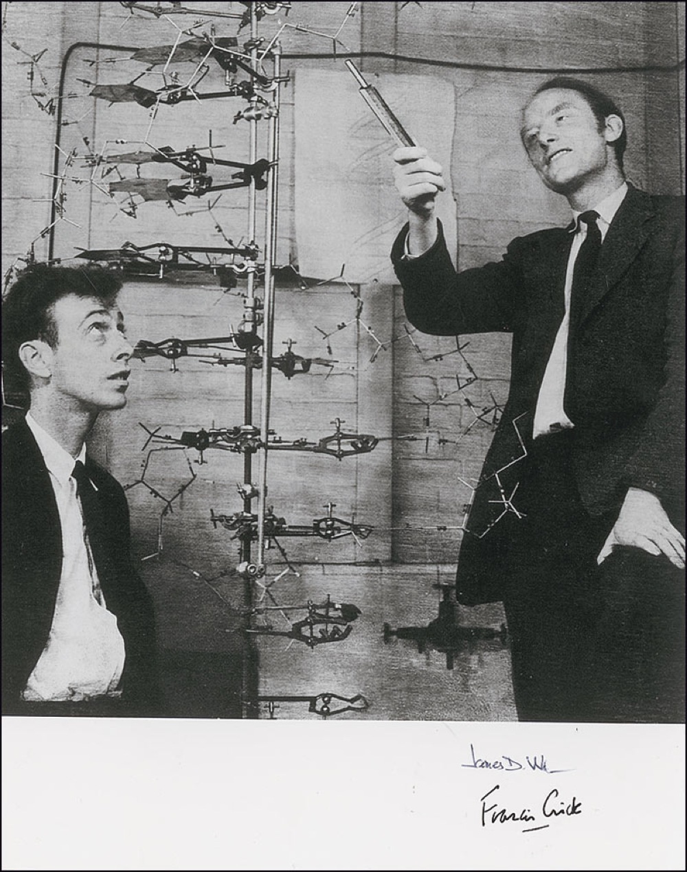 Lot #218 DNA: Watson and Crick