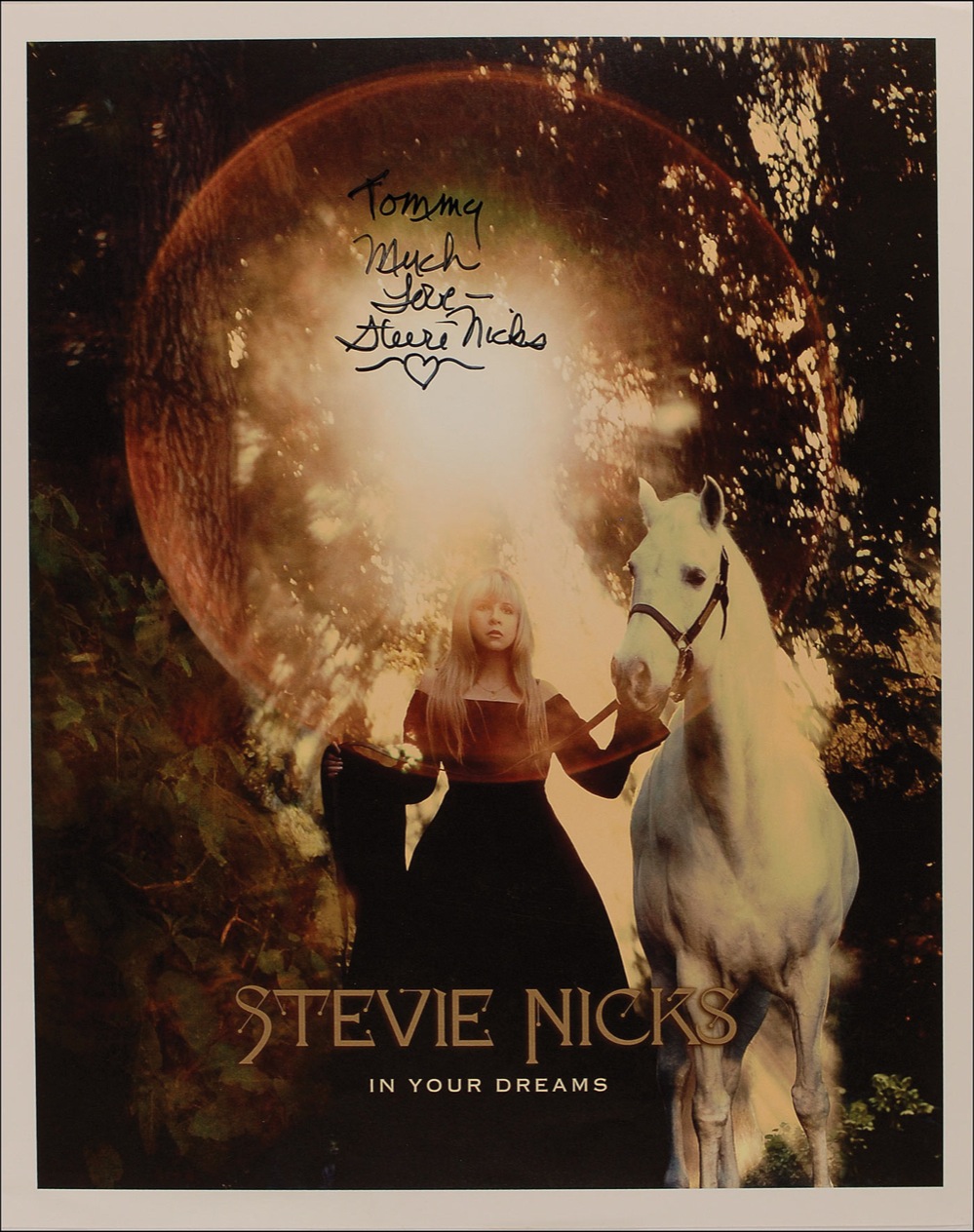 Stevie Nicks In Your Dreams Online Shops
