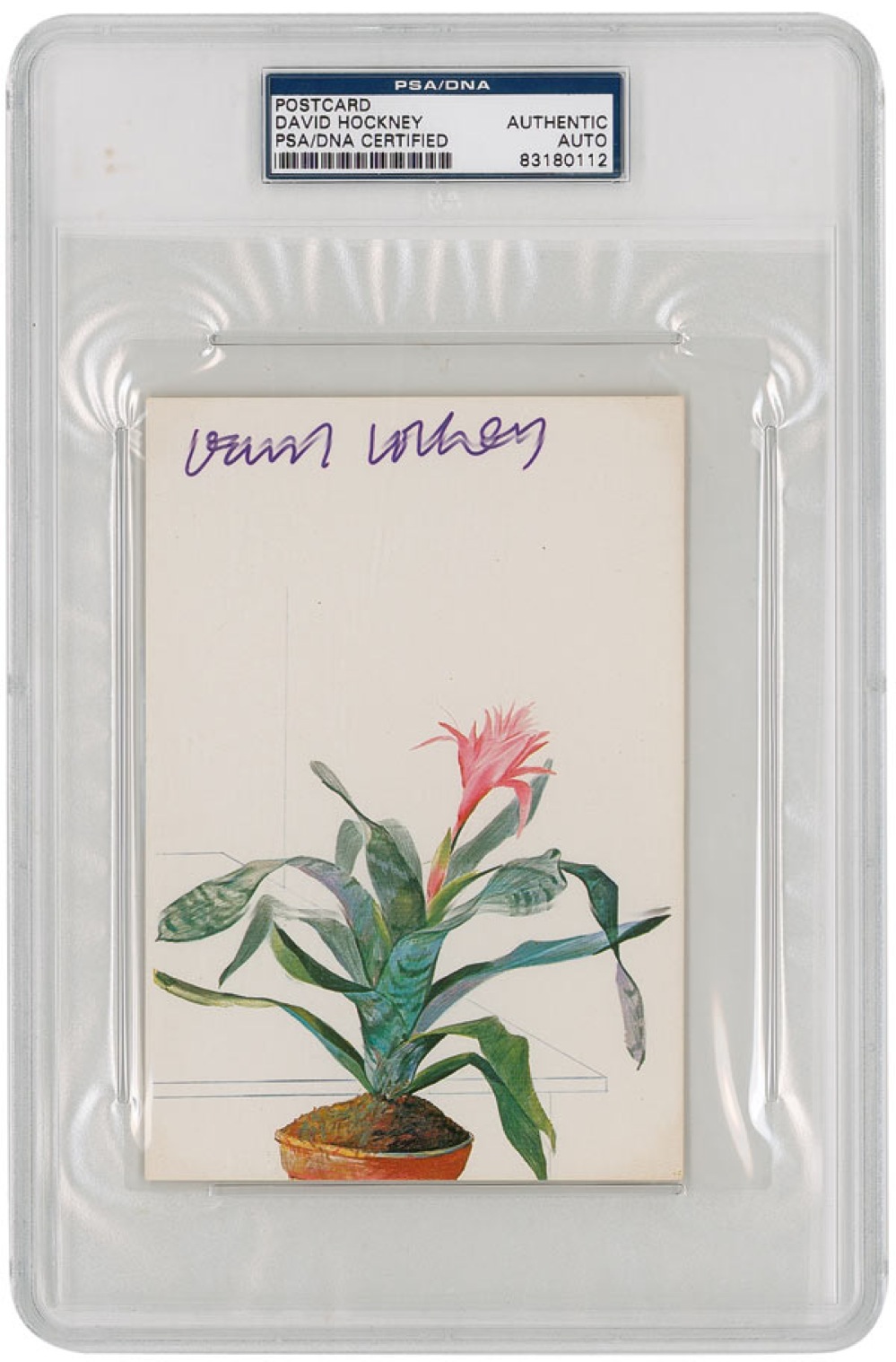 Lot #561 David Hockney