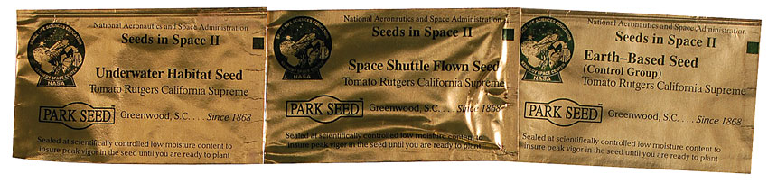Lot #567 Flown STS-86 Seeds II