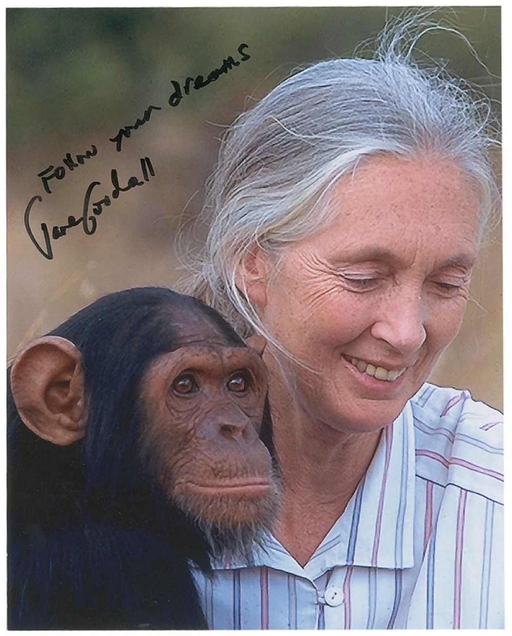 Lot #220 Jane Goodall