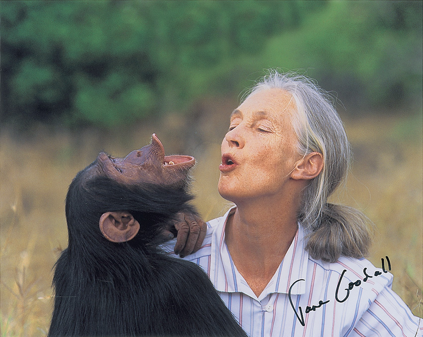 Lot #211 Jane Goodall