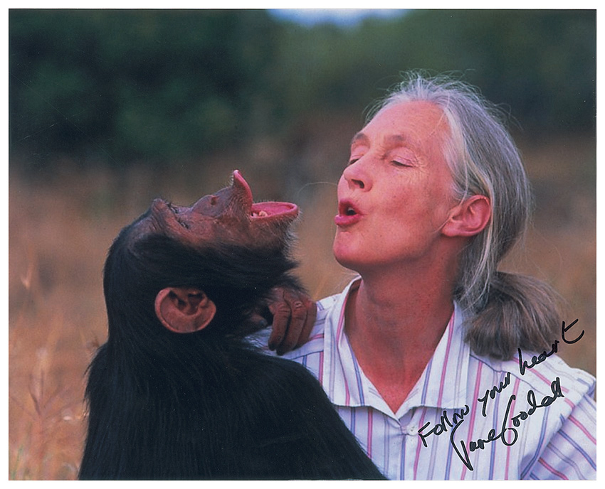 Lot #268 Jane Goodall