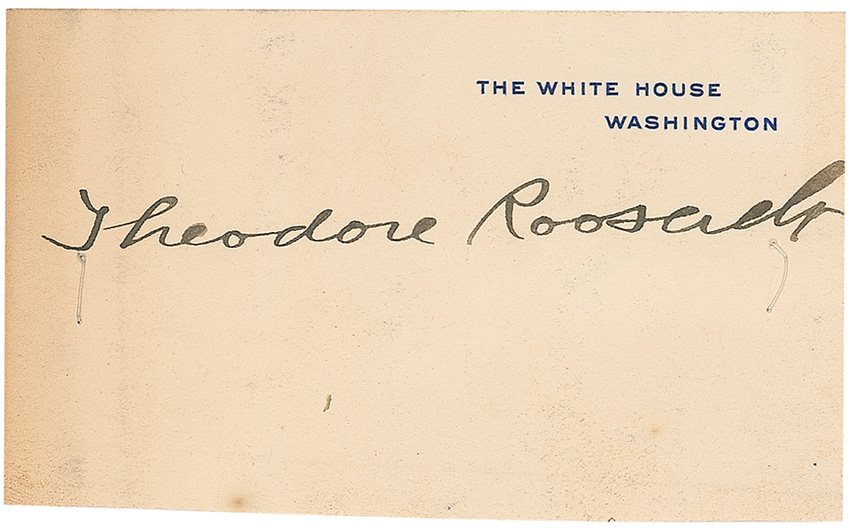 Lot #107 Theodore Roosevelt