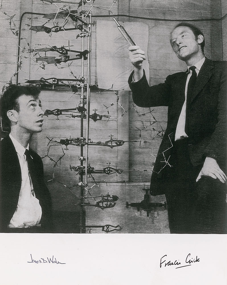 Lot #387 DNA: Watson and Crick