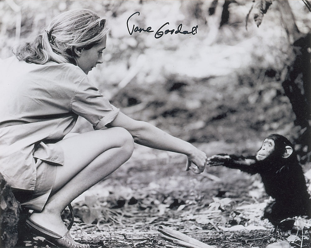Lot #328 Jane Goodall