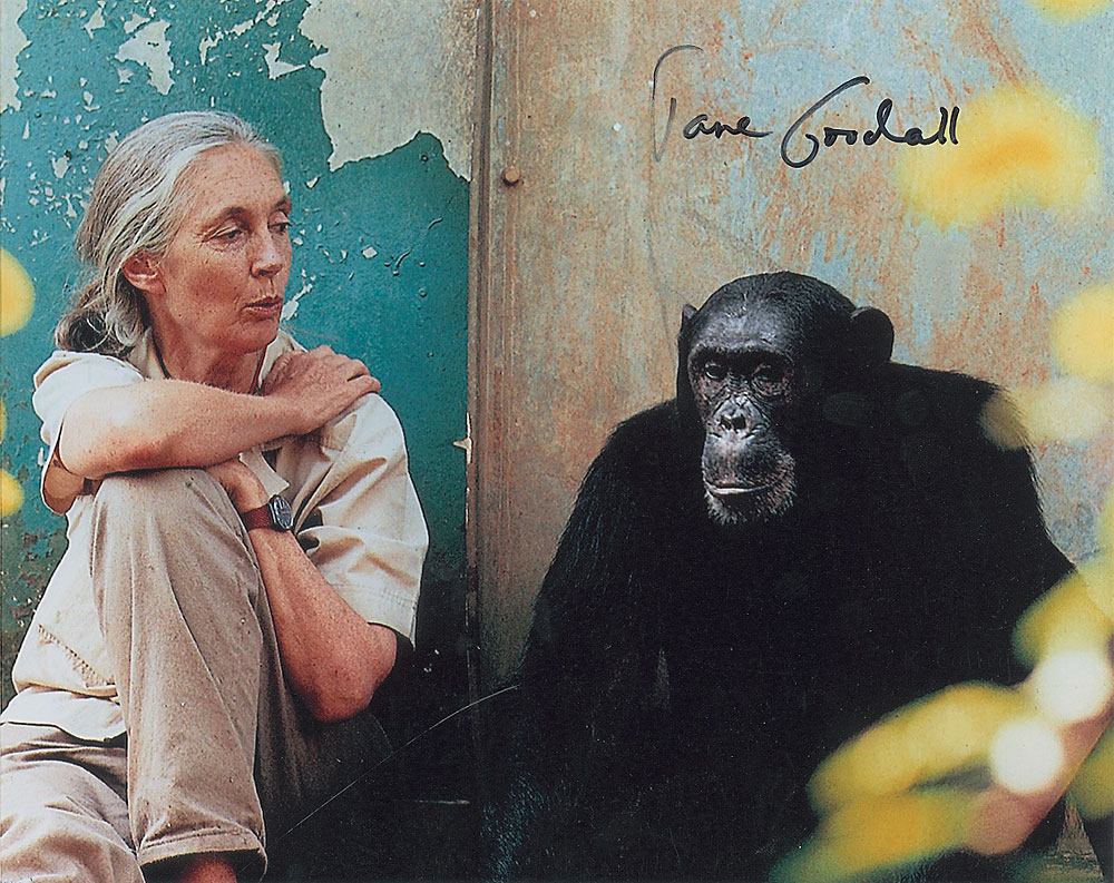 Lot #219 Jane Goodall