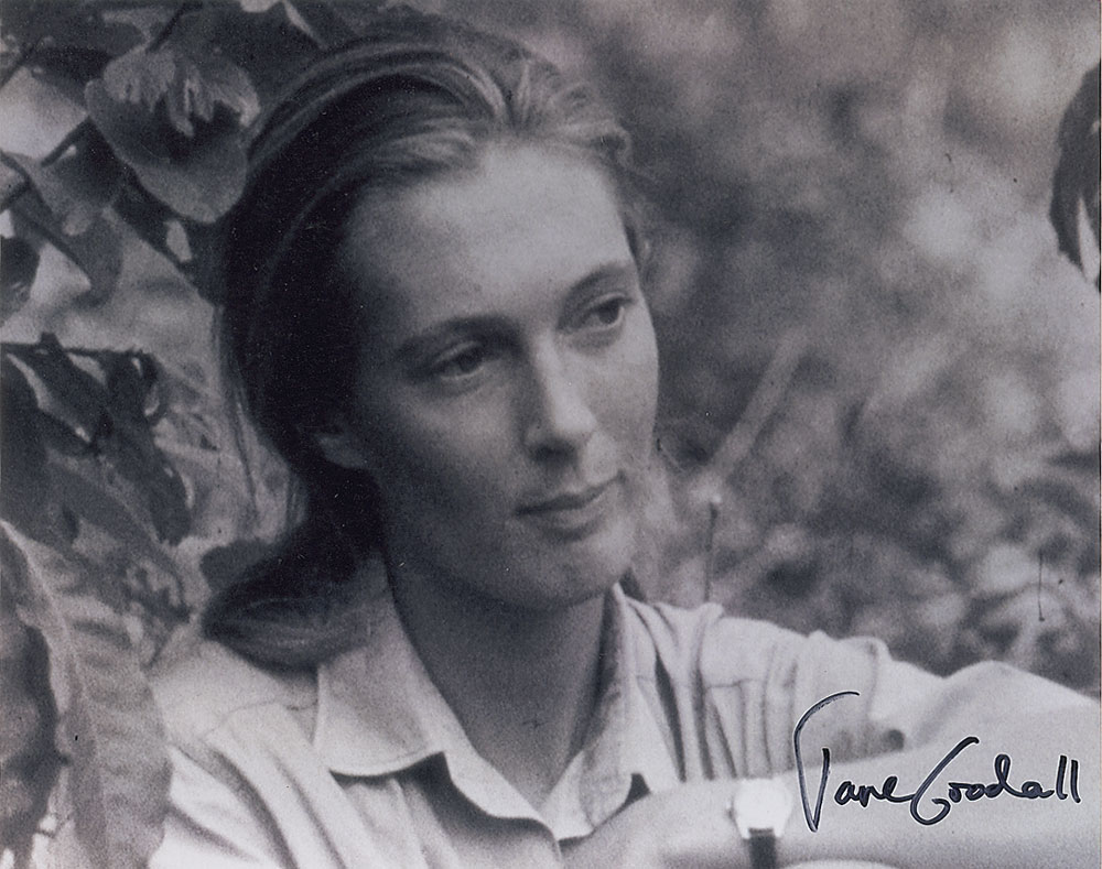 Lot #281 Jane Goodall