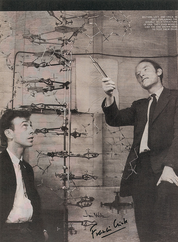 Lot #263 DNA: Watson and Crick