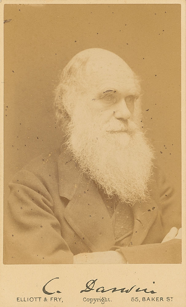 Lot #512 Charles Darwin