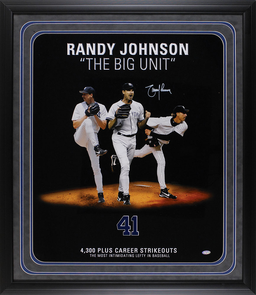 Randy fashion Johnson Lot !!!