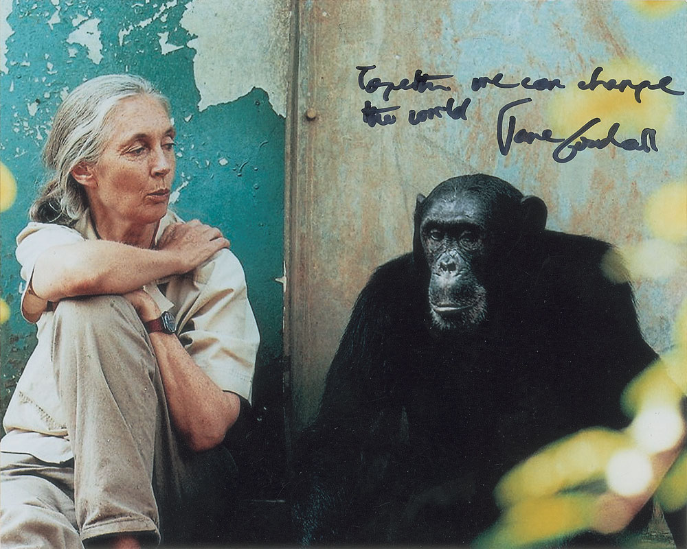 Lot #380 Jane Goodall
