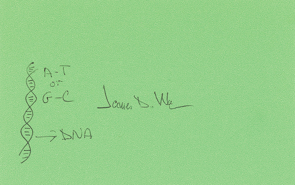 Lot #285 DNA: James Watson
