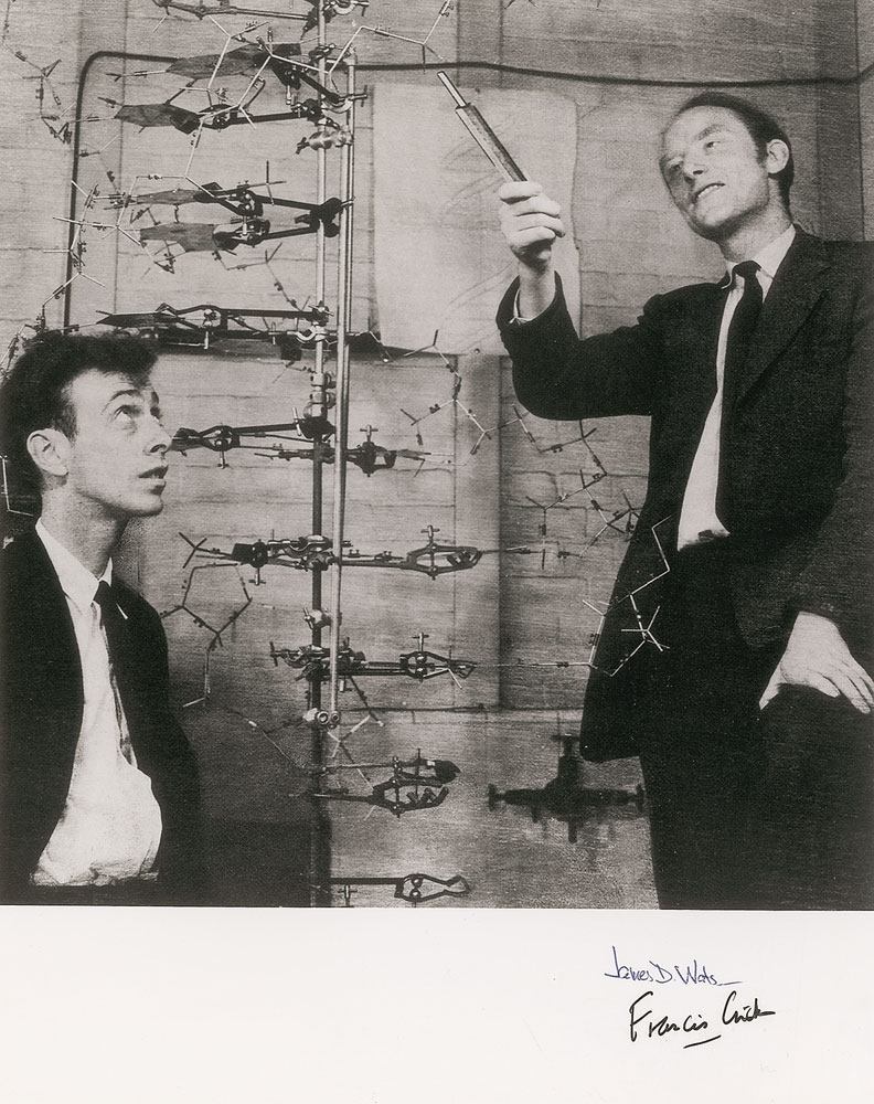 Lot #175 DNA: Watson and Crick