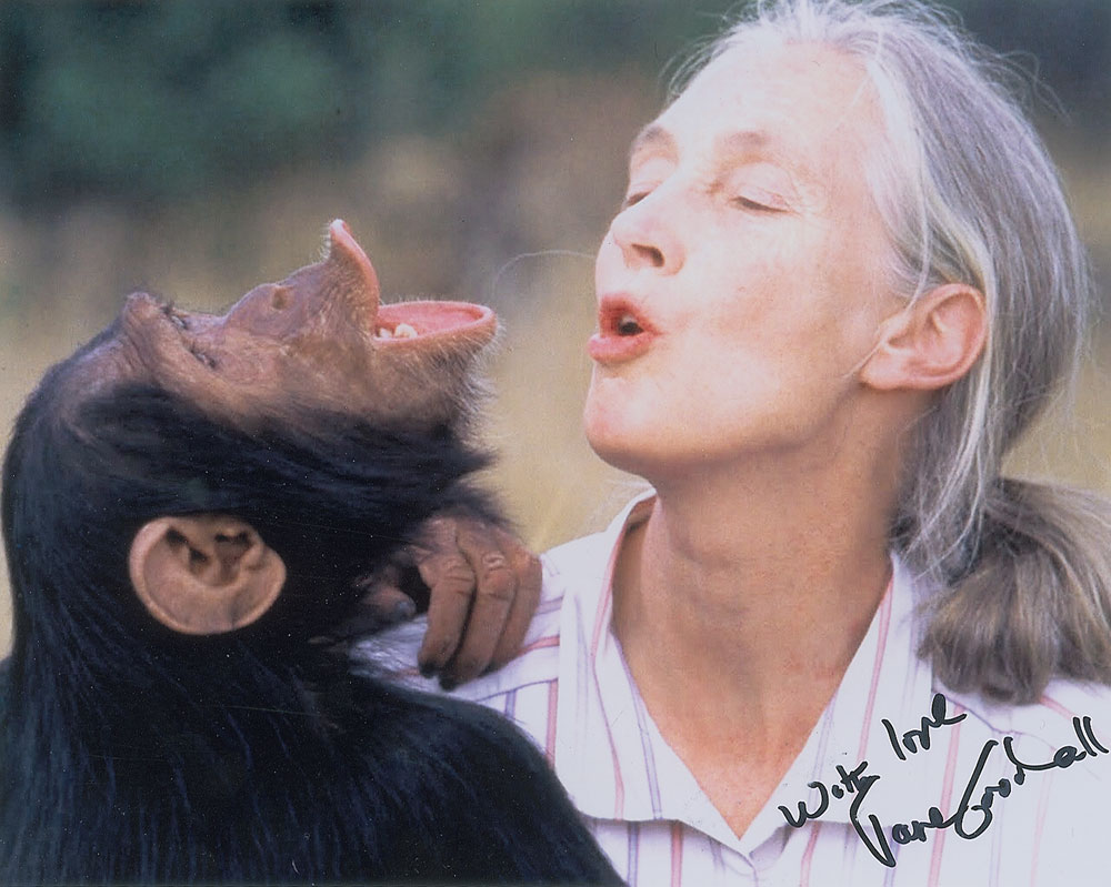Lot #389 Jane Goodall