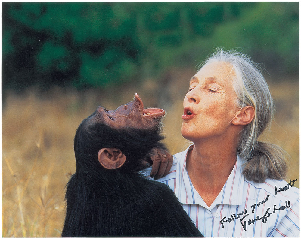 Lot #356 Jane Goodall